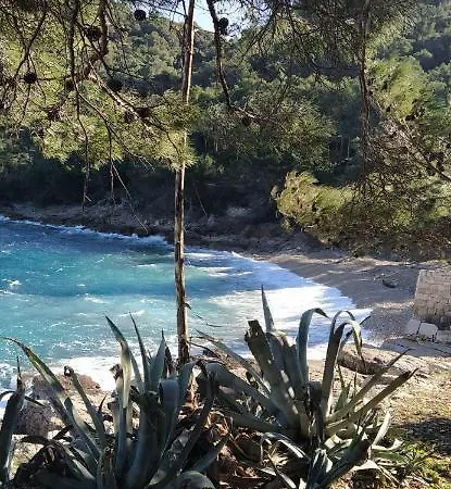 Nona Ruzica Vis