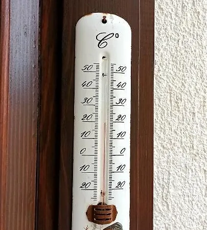 Nona Ruzica *